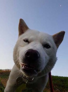 dote2012086.jpg