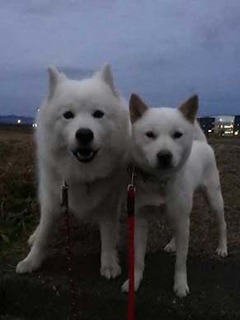 dote2012091.jpg