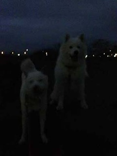 dote2012101.jpg