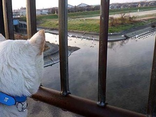 dote2012116.jpg