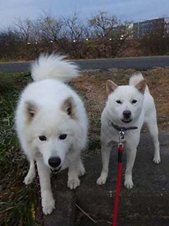 dote2012141.jpg