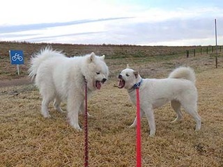 dote2012144.jpg