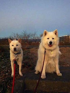 dote2012171.jpg