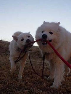 dote2012177.jpg