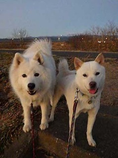 dote2012201.jpg
