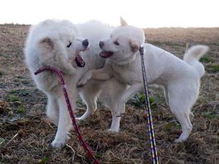 dote2012205.jpg