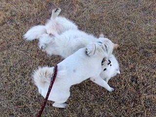 dote2012207.jpg