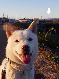 dote2012208.jpg