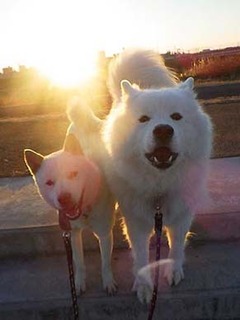 dote2012209.jpg