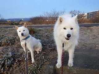 dote2012221.jpg