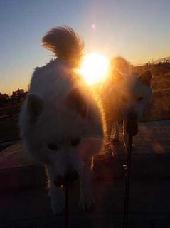 dote2012228.jpg
