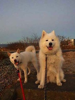 dote2012231.jpg