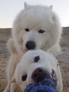 dote2012236.jpg