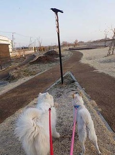 dote2103016.jpg