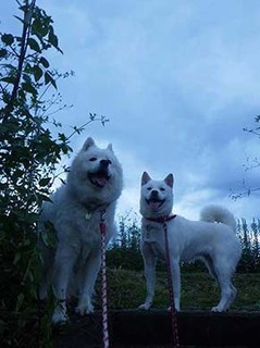dote210919a.jpg