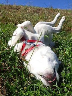 dote211011d.jpg