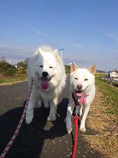 dote211116e.jpg