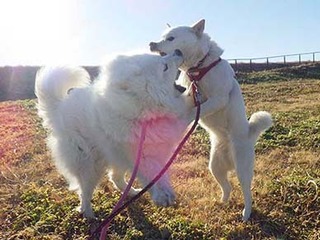 dote220119e.jpg