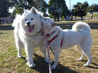 dote230216d.jpg