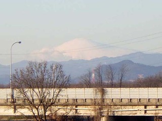 dote250128b.jpg