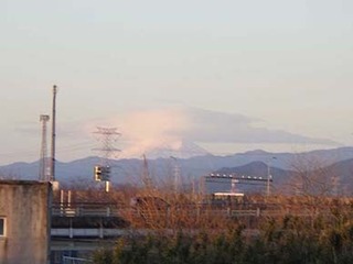dote250226c.jpg