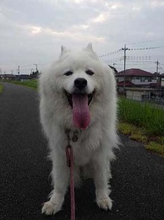 dote250702j.jpg