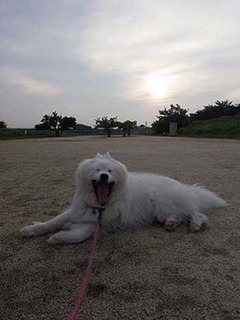 dote250705g.jpg