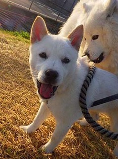 dote_2003112.jpg