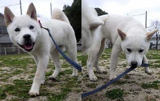 dote_2003149.jpg
