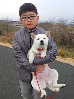 dote_g2002162.jpg