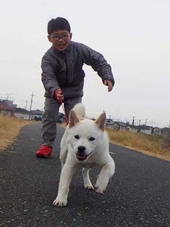 dote_g2002163.jpg