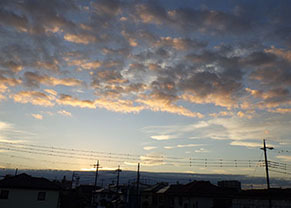 dote_i1711011.jpg
