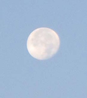 dote_i1711061.jpg