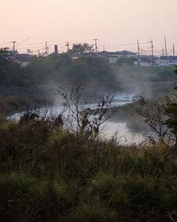 dote_i1711074.jpg