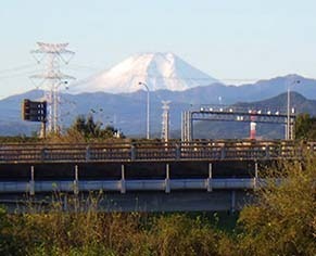 dote_i1711129.jpg