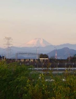 dote_i1711172.jpg
