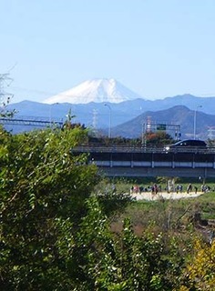 dote_i1711195.jpg