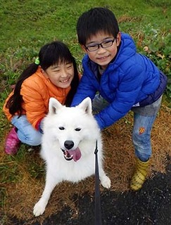 dote_i17120111.jpg