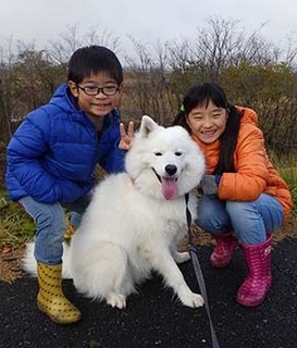 dote_i1712012.jpg
