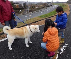 dote_i1712016.jpg