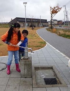 dote_i1712018.jpg