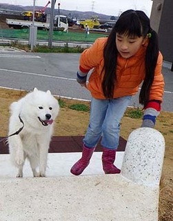 dote_i1712019.jpg