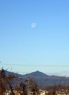 dote_i1712063.jpg