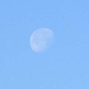 dote_i1712071.jpg