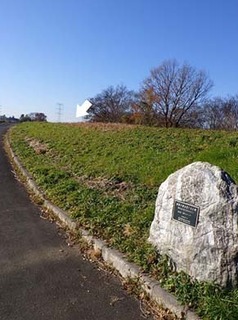 dote_i1712116.jpg