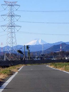 dote_i1712142.jpg
