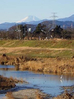 dote_i1801024.jpg