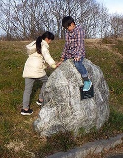 dote_i1801054.jpg