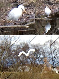 dote_i1801056.jpg