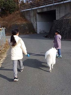 dote_i1801058.jpg